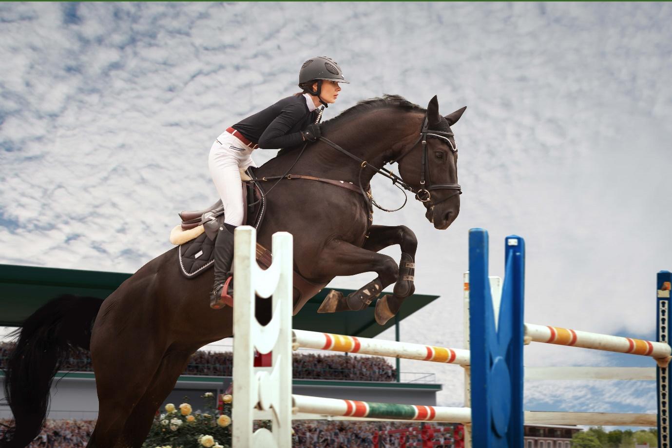 How to Set Up a Safe and Effective Horse Jumping Course - RYTE News