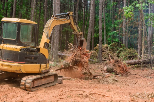 Land Clearing