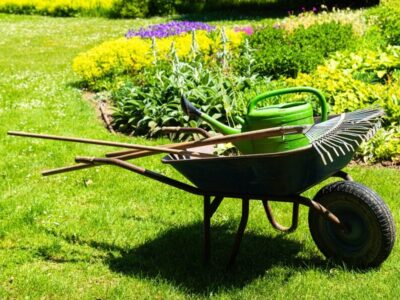 Lawn Care Services