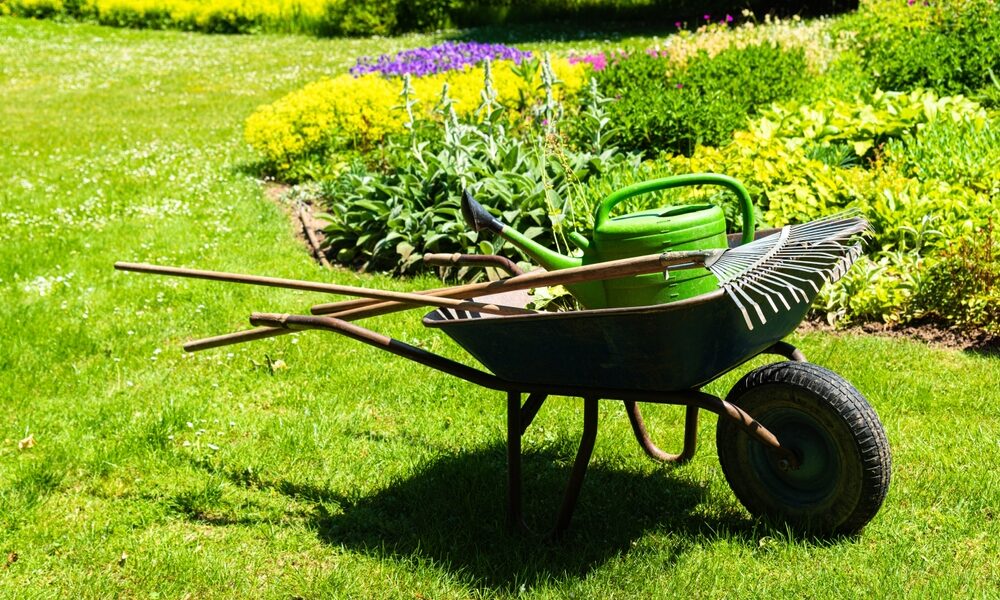 Lawn Care Services